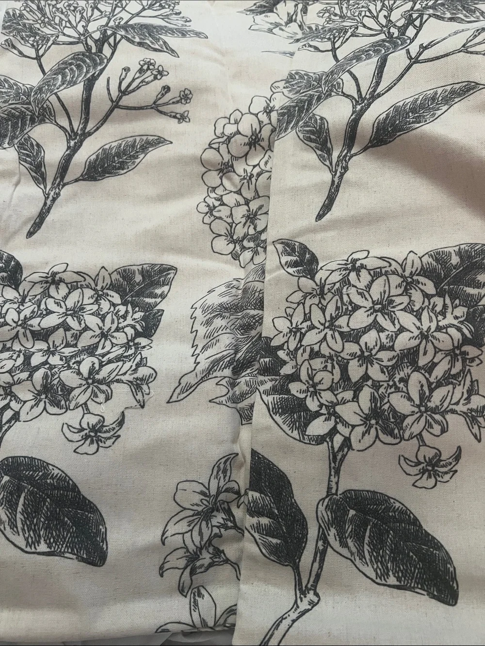Botanical Floral Throw Pillow Covers in Black and Cream x2